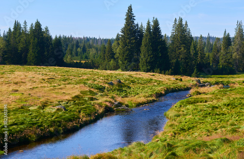 Roklansky stream, Modrava, National park Sumava (Bohemian forest), Czech Republic 