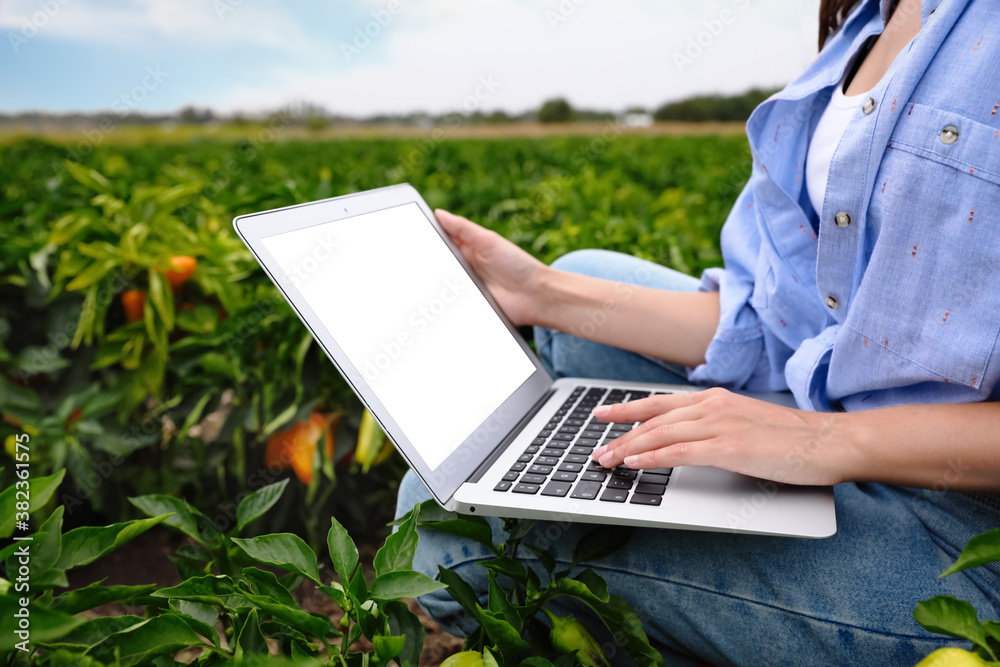 Woman using laptop with blank screen in field, closeup. Agriculture technology Woman using laptop with blank screen in field, closeup. Agriculture technology