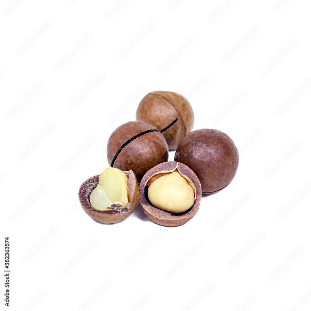 Fresh raw brown round macadamia nuts isolated on white background. Fresh raw brown round macadamia nuts isolated on white background.