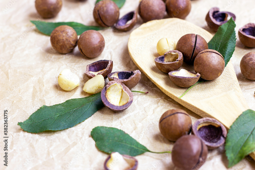 Brown macadamia nuts in a wooden spoon on light paper background. Brown macadamia nuts in a wooden spoon on light paper background.