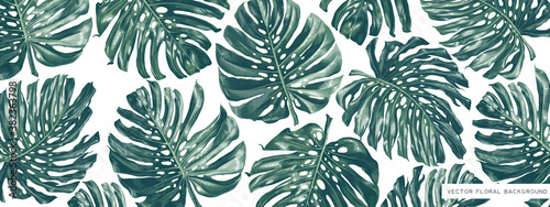 Large horizontal background with tropical realistic vector leaves of monstera palm. Cover template for website, personal blog on social media, discount banner for offline or online stores. © MPetrovskaya