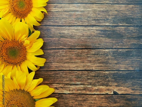 Fototapeta Naklejka Na Ścianę i Meble -  three bright sunflowers on wooden dark background