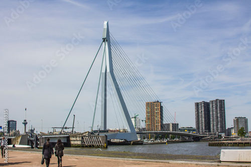 Rotterdam architecture