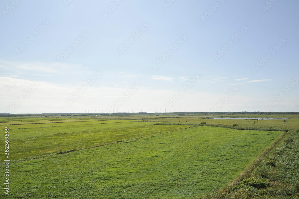 サロベツ湿原