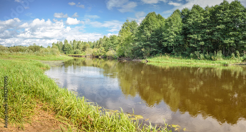 river in the forest/landscape of the river in the forest in summer