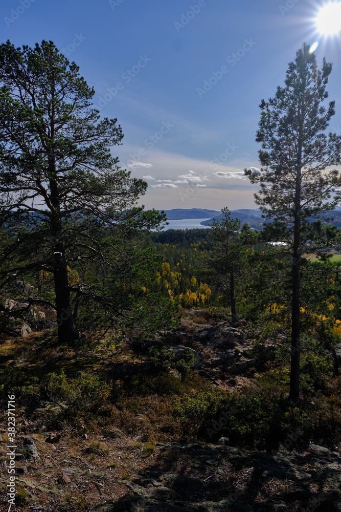 Beautiful views of the high coast from Skule mountain with forest in autumn colors and the sea in the background Beautiful views of the high coast from Skule mountain with forest in autumn colors and the sea in the background