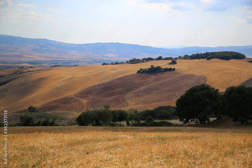 Traditional landscape of the Val D'Orcia