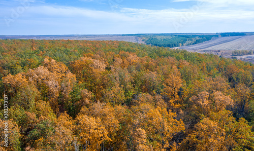 top view of the colorful autumn forest growing on the hill