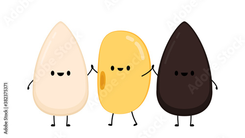 Soybean and Sesame seed character. Soybean character design. Black and White sesame character.