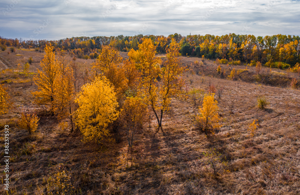 top view of the trees with red autumn foliage growing near the hill top view of the trees with red autumn foliage growing near the hill