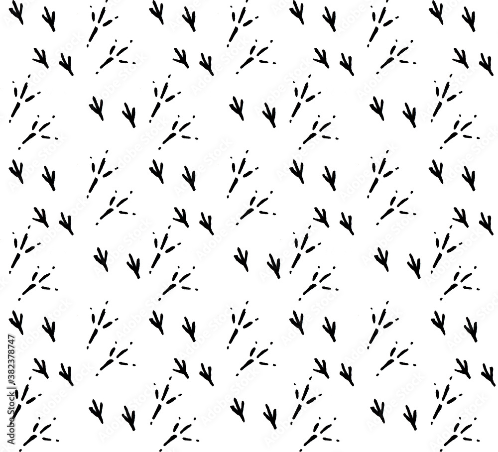 Obraz premium Pattern with drawn bird prints