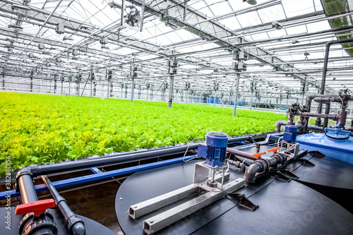 water conveying at hydroponic plantation