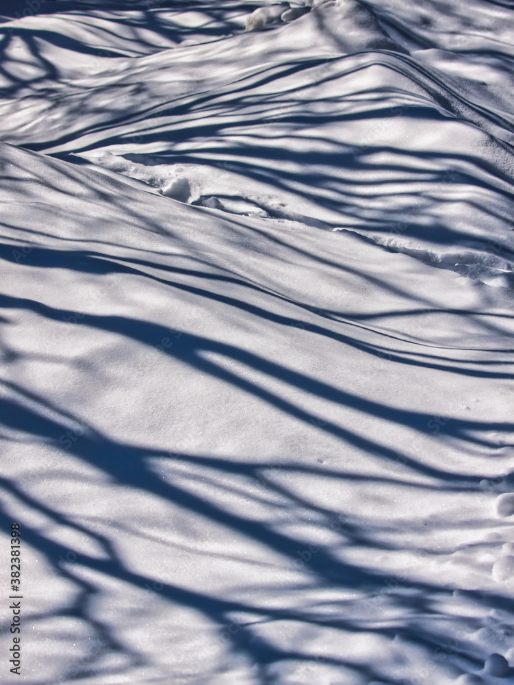 Obraz premium 残雪影模様