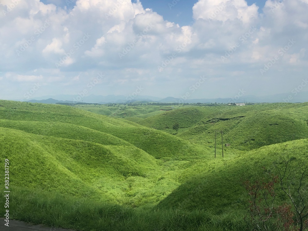 牧草地 牧草地