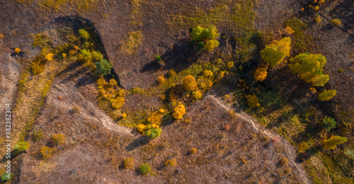 Top view of the bizarre shape of the ravine with trees growing © Игорь Кляхин