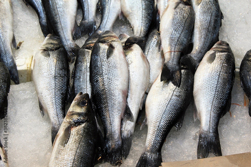 Stalls with sea food at fish market in Athens, Greece.