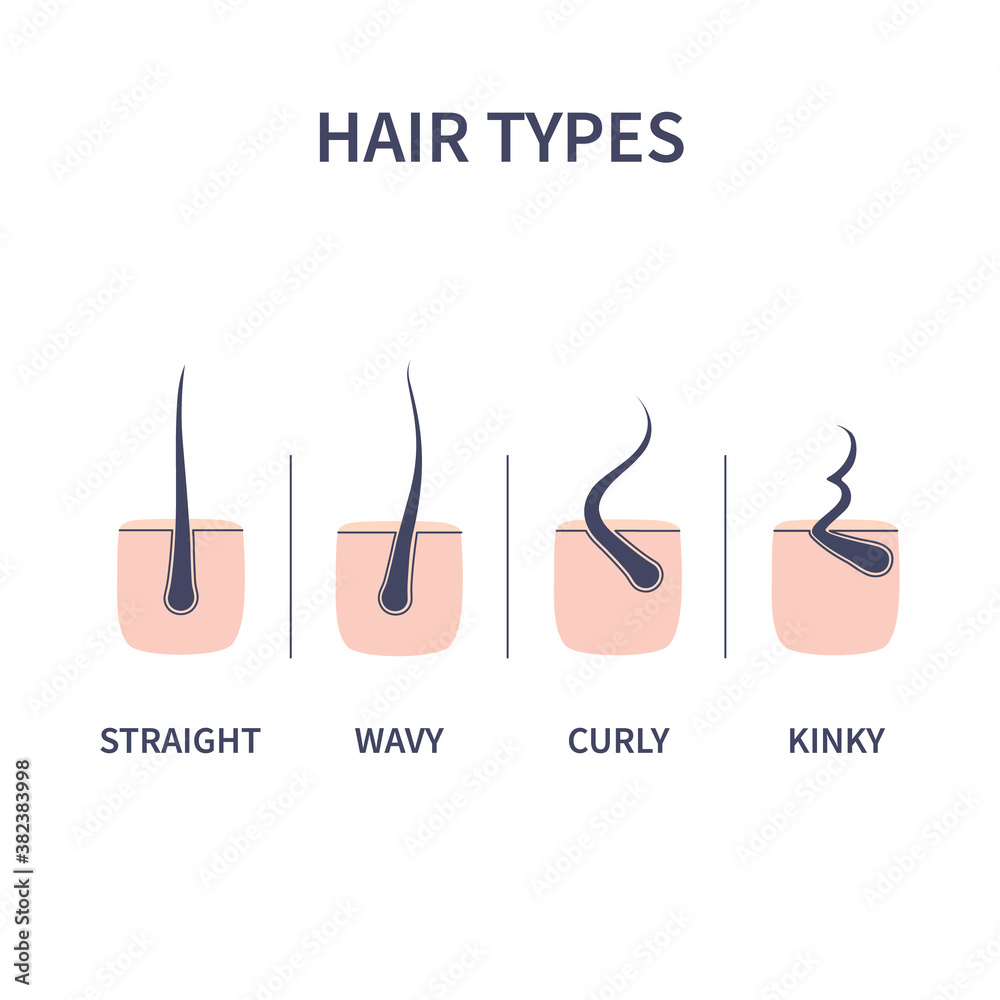 Wavy vs. Straight: Physics of Curly Hair Teased Out | Live Science