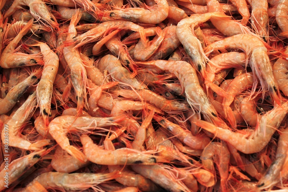 Close up of shrimps at fish market in the center of Athens in Greece.