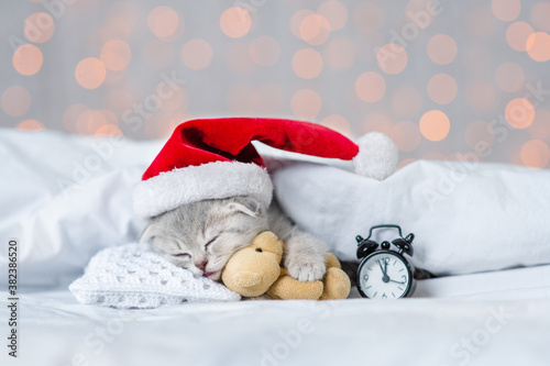 Baby kitten wearing red christmas hat sleeps with alarm clock under white blaket and hugs toy bear on festive background photo