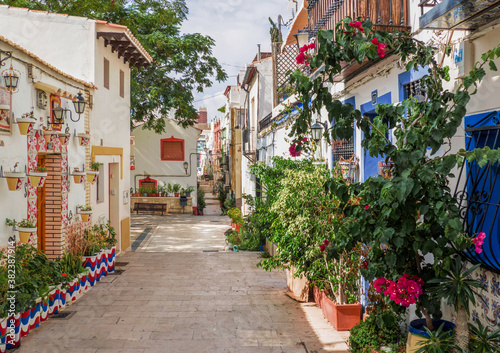 Fototapeta Naklejka Na Ścianę i Meble -  narrow alleys of the picturesque district of santa Cruz with houses adorned with many flower pots.Mediterranean city of Alicante, Spain