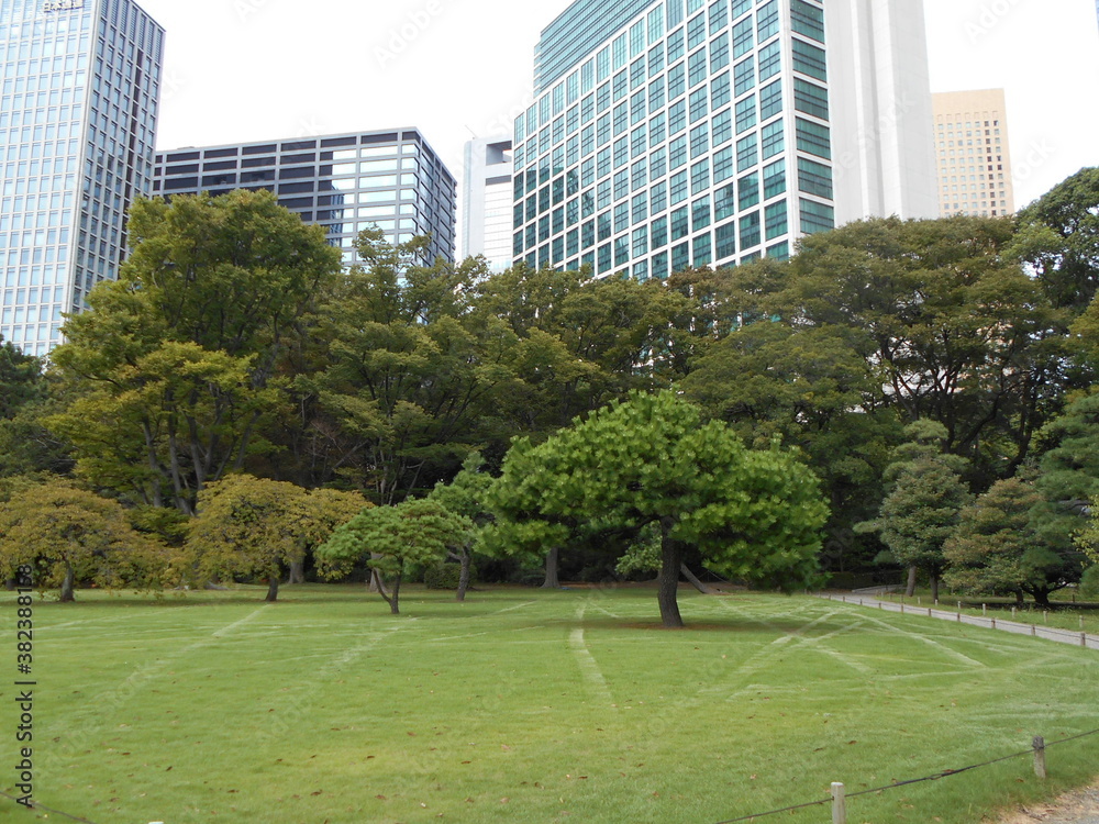 秋の日本庭園（東京）
