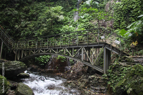 Wooden bridge by the stream