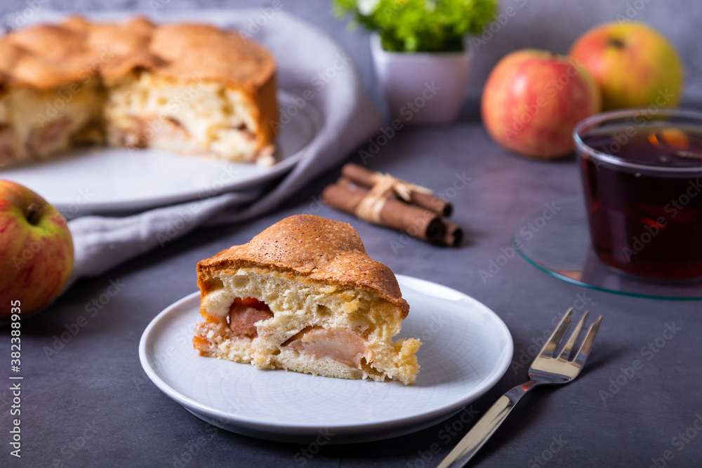 Apple pie Charlotte. A traditional biscuit cake with apples and cinnamon. Close-up. Apple pie Charlotte. A traditional biscuit cake with apples and cinnamon. Close-up.