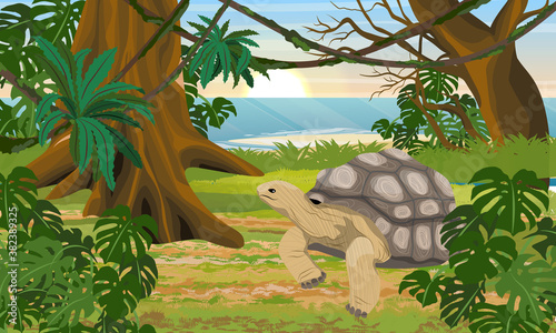 Aldabra giant tortoise in the tropical jungle by the sea. Tall tropical trees, shrubs and vines. Aldabrachelys gigantea. Animal of the islands of the Pacific Ocean. Realistic vector landscape photo