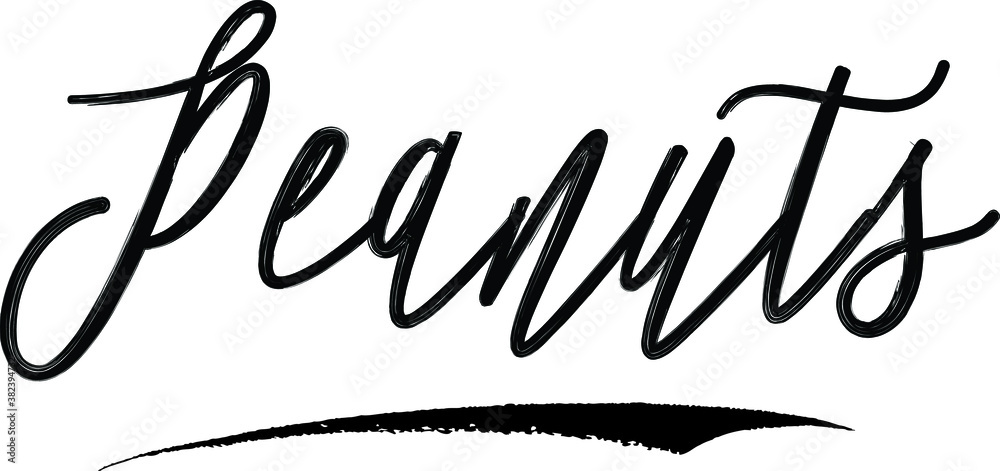 Obraz premium Peanuts Brush Calligraphy Handwritten Typography Text on White Background