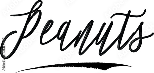 Peanuts Brush Calligraphy Handwritten Typography Text on
White Background