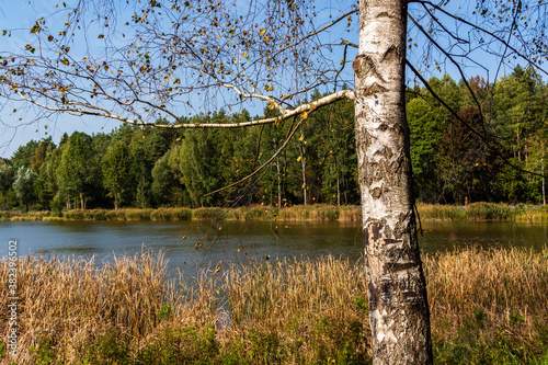 Fototapeta Naklejka Na Ścianę i Meble -  Zalew Czapielówka położony w Puszczy Knyszyńskiej to ostoja spokoju, piękna i ciszy, Podlasie, Polska