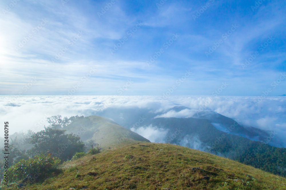 mountain hill with grass field with sea of fog or white clouds at 