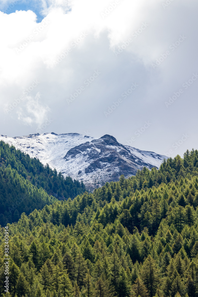 Obraz premium landscape mountain in pragelato with snow, pine trees and cloudy sky