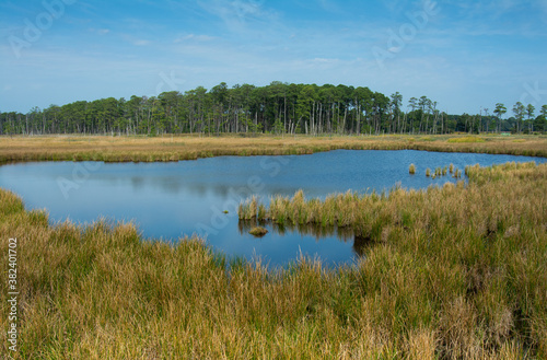 marsh scenic with water reflecting sky and yellow grasses fall color