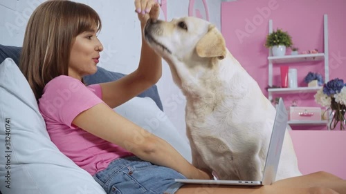 Wallpaper Mural freelancer teasing golden retriever dog near laptop Torontodigital.ca