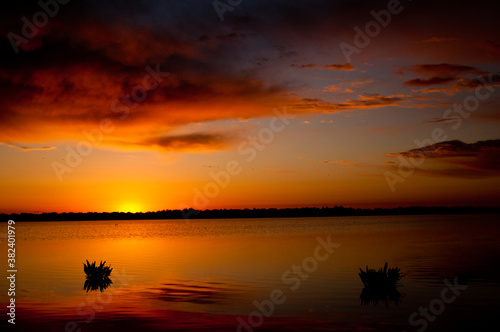 Amanecer en la marisma