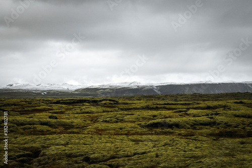 Iceland moss mountain. Surreal landscapes
