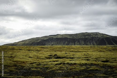Iceland moss mountain. Surreal landscapes