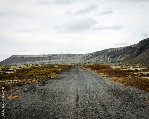 Icelandic wild road. Lonely landscape