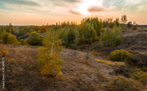 Landscape with beautiful autumn trees growing on the slopes of the ravine, against the background of a pink sunset