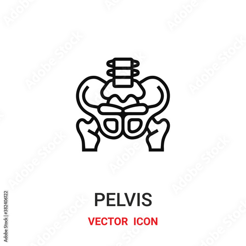 pelvis icon vector symbol. pelvis symbol icon vector for your design. Modern outline icon for your website and mobile app design.