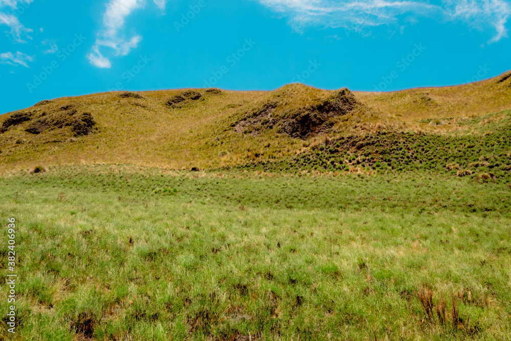 Hermoso paisaje andino. Paramos ecuatorianos. Hermoso paisaje andino. Paramos ecuatorianos.