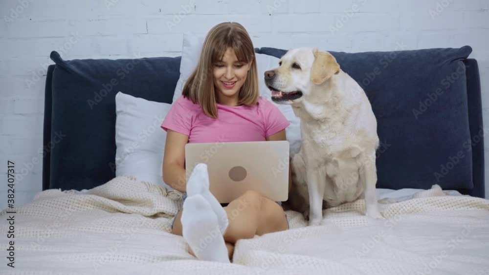 freelancer using laptop near golden retriever on bed freelancer using laptop near golden retriever on bed