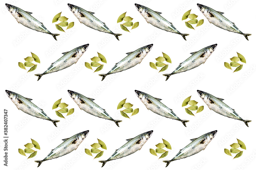 White background with sea bass and laurel. Food concept White background with sea bass and laurel. Food concept