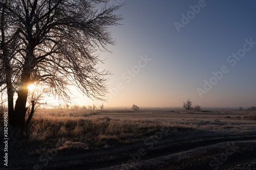 winter wonderland sunset view of frozen trees scenery panoramic wide nature b...