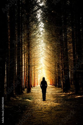 Silhouette einer Person auf einem Waldweg im Gegenlicht