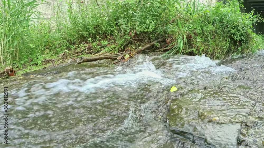 Stream Water Flowing Over the Rocks Stream Water Flowing Over the Rocks