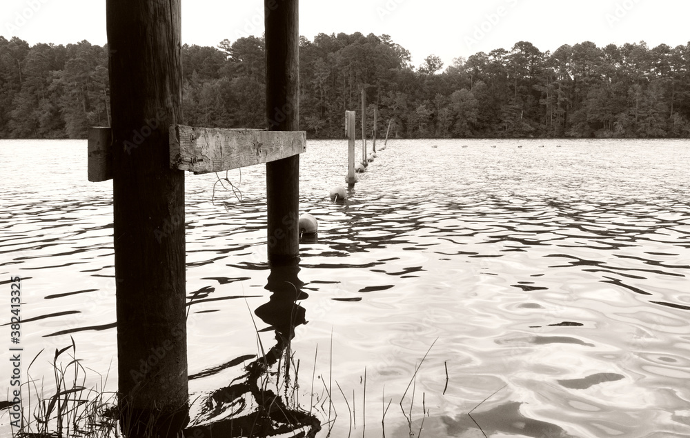 Old wooden divider and buoys on peaceful lake in Black and white.