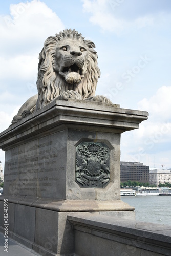 lion on the bridge on budapest