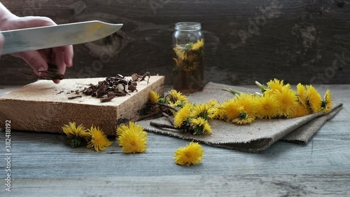process of preparing a medicinal decoction from dandelion roots and flowers.
